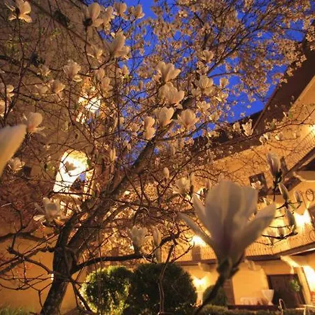 Obermayerhofen 호텔 세베르스도르프